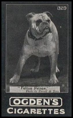 329 Felton Prince